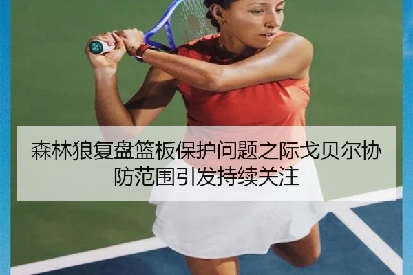 森林狼复盘篮板保护问题之际戈贝尔协防范围引发持续关注